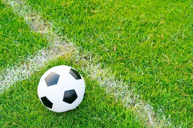 U球体育体育 体育盛况